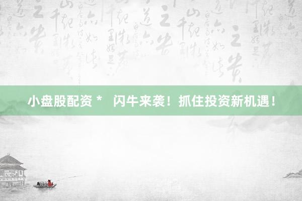 小盘股配资 *   闪牛来袭！抓住投资新机遇！