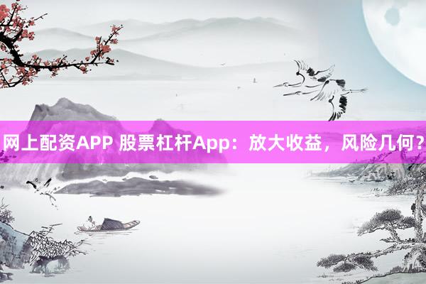 网上配资APP 股票杠杆App：放大收益，风险几何？
