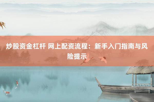炒股资金杠杆 网上配资流程：新手入门指南与风险提示