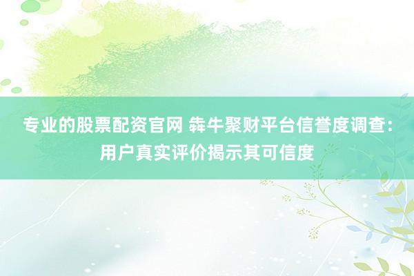 专业的股票配资官网 犇牛聚财平台信誉度调查：用户真实评价揭示其可信度