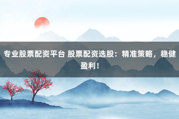 专业股票配资平台 股票配资选股：精准策略，稳健盈利！