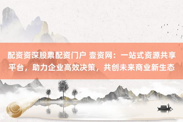 配资资深股票配资门户 壹资网：一站式资源共享平台，助力企业高效决策，共创未来商业新生态