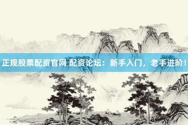 正规股票配资官网 配资论坛：新手入门，老手进阶！