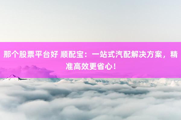 那个股票平台好 顺配宝：一站式汽配解决方案，精准高效更省心！