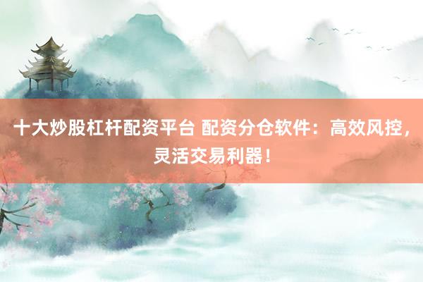 十大炒股杠杆配资平台 配资分仓软件：高效风控，灵活交易利器！