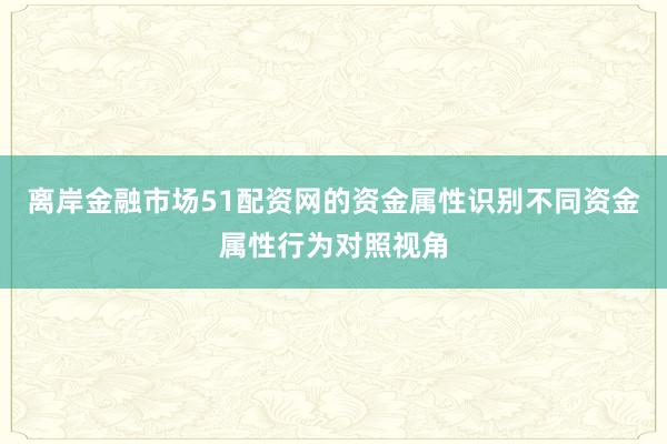 离岸金融市场51配资网的资金属性识别不同资金属性行为对照视角