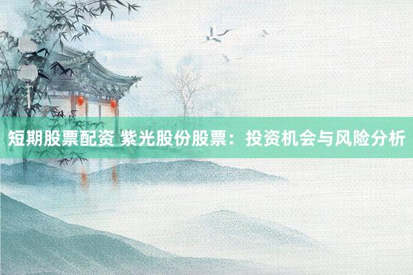 短期股票配资 紫光股份股票：投资机会与风险分析