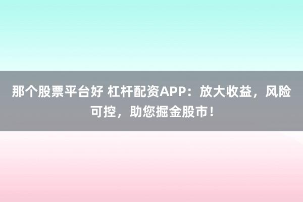 那个股票平台好 杠杆配资APP：放大收益，风险可控，助您掘金股市！