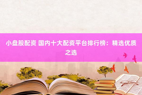 小盘股配资 国内十大配资平台排行榜：精选优质之选