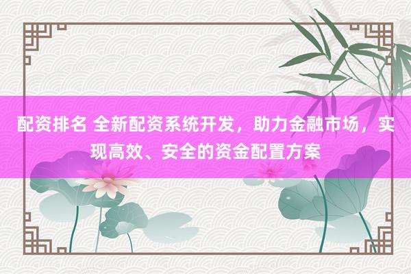配资排名 全新配资系统开发，助力金融市场，实现高效、安全的资金配置方案