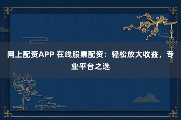 网上配资APP 在线股票配资：轻松放大收益，专业平台之选