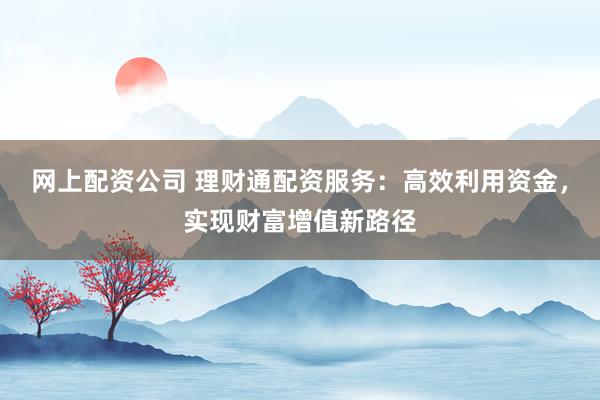 网上配资公司 理财通配资服务：高效利用资金，实现财富增值新路径
